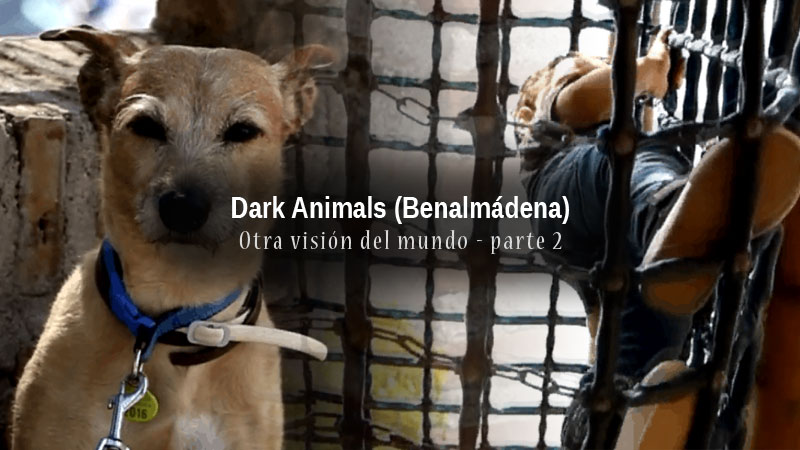 Vídeo Dark Animals - Otra Visión del Mundo - Parte 2